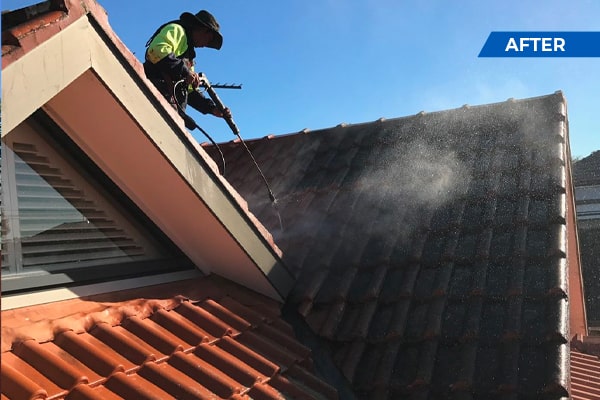 Roof Cleaning-2