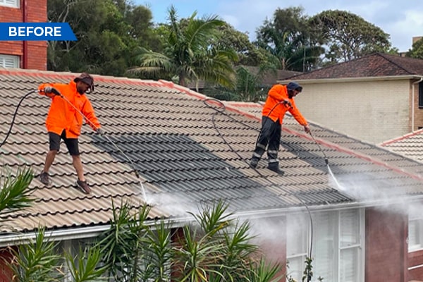 Roof Cleaning-3