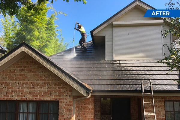 Roof Cleaning-4