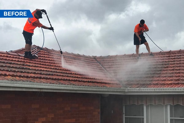 Roof Cleaning-5