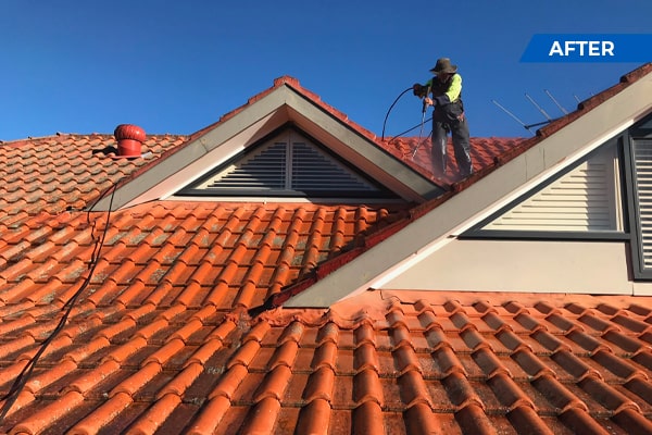 Roof Cleaning-6