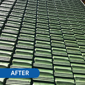 What are the perks of roof tile cleaning services?