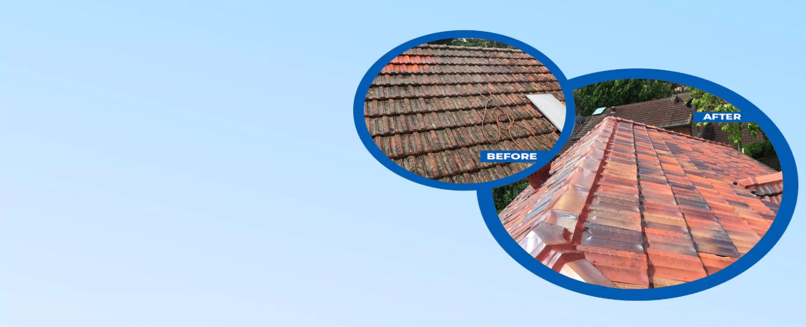 Revitalize and Protect – The Ultimate Guide to Colorbond Roof Restoration