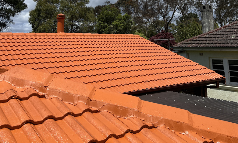 Roof Tile Cleaning