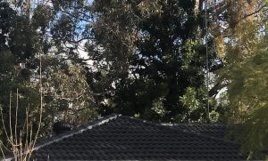 Why Roof Restoration Service is Crucial