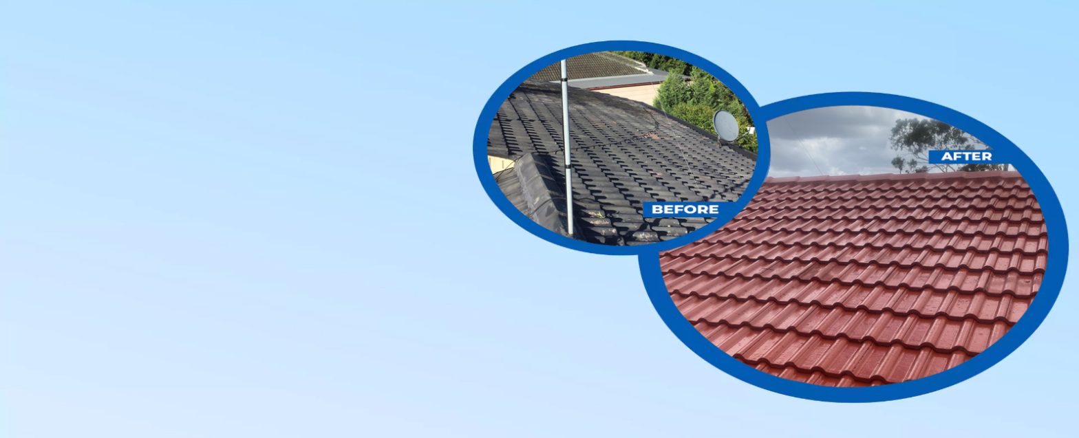 The Significance of Roof Cleaning for its Restoration